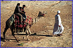 Visitors below the Khafre Pyramid