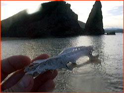 Spire in the distance with tiny skull held in hand close up