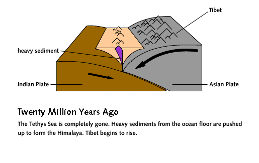 diagram of Indian plate sliding under Asian plate; Tethys sea gone. Text reads 'Twenty Million Years Ago: The Tethys sea is completely gone. Heavy sediments from the ocean floor are pushed up to form the Himalaya. Tibet begins to rise.'