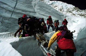 rescuing sherpa