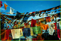 Prayer flags blowing in wind