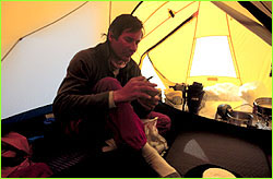 David in tent