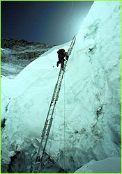 Ladder in Icefall