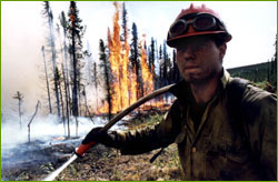 Young wildland firefighter