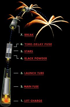 Anatomy of a firework diagram