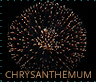 Chrysanthemum