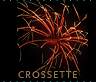 Crossette