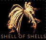 Shell of shells