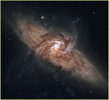 Spiral galaxy