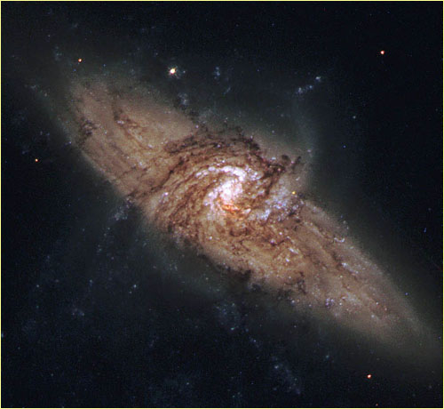 Spiral Galaxy