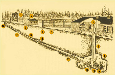 Map of tunnel 'Harry'