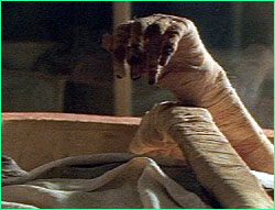 Mummy hand