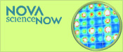 NOVA scienceNOW: Personal DNA Testing