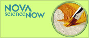 NOVA scienceNOW: Art Authentication