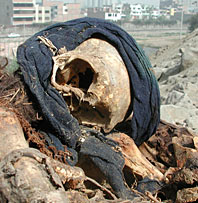 Skeleton with blue cloth