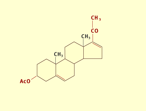 Steroid path 2