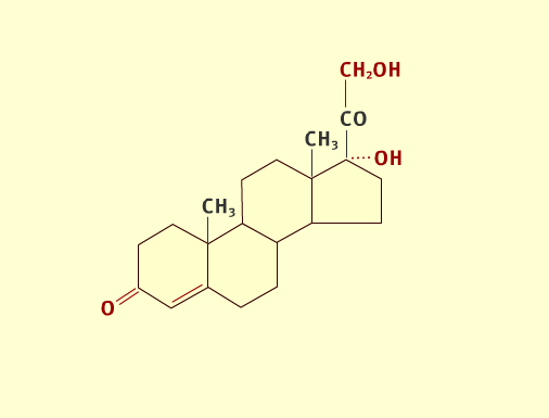 Steroid path 3