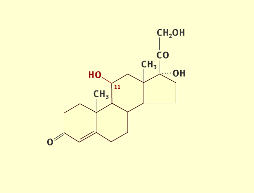 Steroid path 4