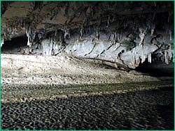 crocodile cave