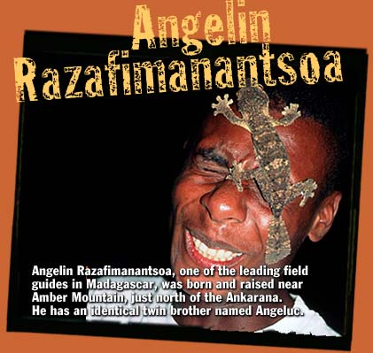 Angelin Razafimanantsoa