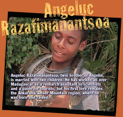 Angeluc Razafimanantsoa