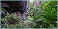 Sunken Forest, Ankarana Reserve