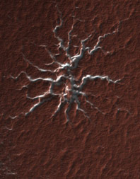 Polar Gas Channels