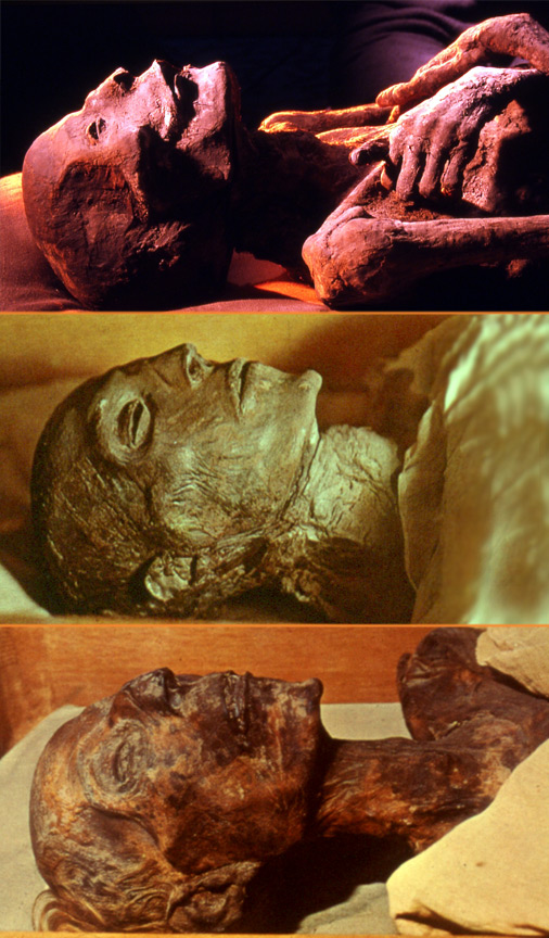 Three mummies