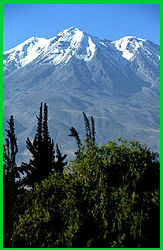 image of trees and mountain