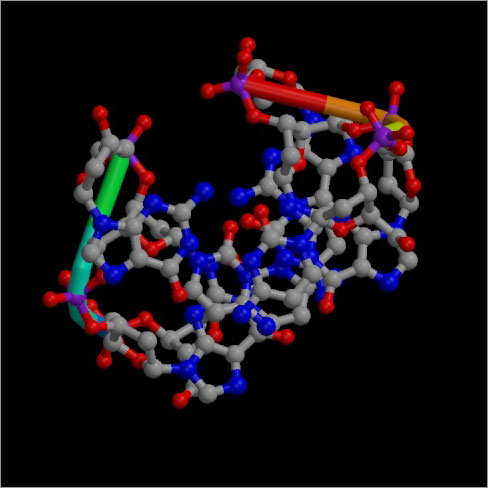 'Left-handed' DNA