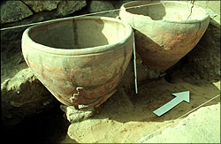 Pots