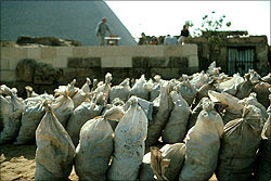 Bags of stuff (bread molds?) to be sorted