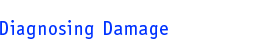 Diagnosing Damage