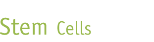 Stem Cells