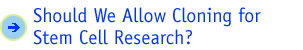 Should We Allow Cloning for Stem Cell Research?