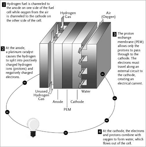 Fuel cells diagram