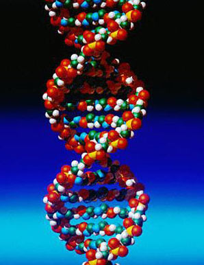 DNA