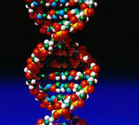 DNA