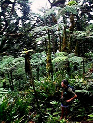 Alvaro Farías Garita on Mt. Yglesias.