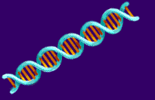 DNA