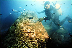 Diver removing algae from surface of block.