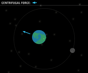 Step 4: arrow representing centrifugal force