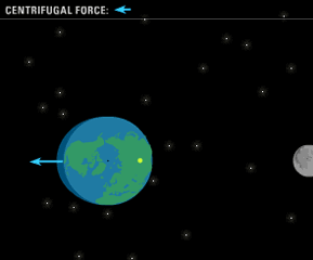 Step 5: centrifugal force pulling oceans away from moon; arrows show centrifugal force