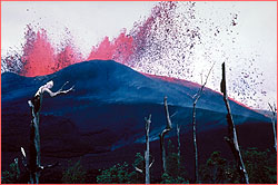 Kilauea lava vent