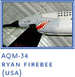 AQM-34 Ryan Firebee (USA)