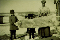 Wolf pelt, picture from late 1800's or early 1900s