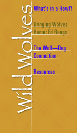 Wolves menu (see bottom of page for text links)