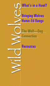 Wolves menu (see bottom of page for text links)