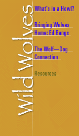 Wolves menu (see bottom of page for text links)