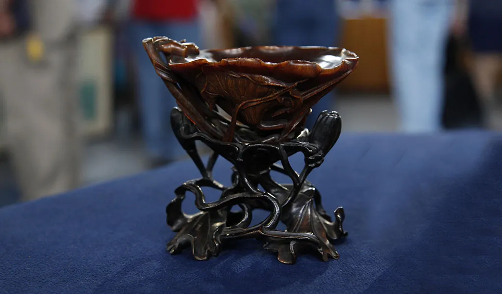 Rhinoceros Cup